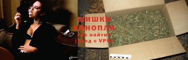PSILOCYBIN Алексеевка