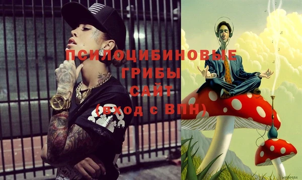 ALPHA PVP Алексин