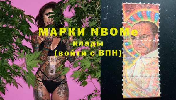 apvp Алзамай